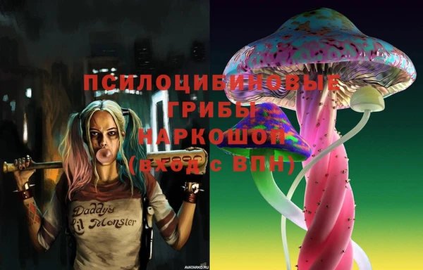 альфа пвп Алексеевка
