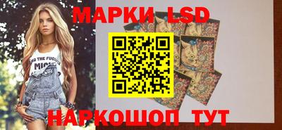 шишки Ирбит