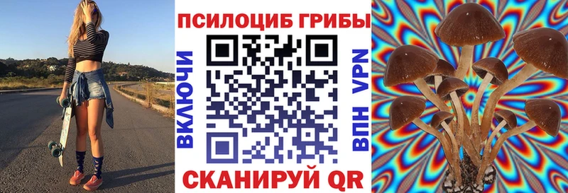 наркота кракен ссылки Галлюциногенные грибы Psilocybe Лысьва