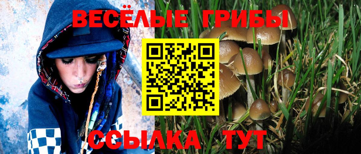 Псилоцибиновые грибы MAGIC MUSHROOMS  Вход с VPN  Лысьва 